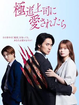 극도 상사에게 사랑받는다면